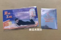 SnowMan 向井康二 RAYS アクスタ チケット風カード