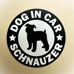 Item thumbnail for item 6e8fabf6-3bd2-4574-80ae-a7df5e85d57e