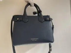 Item thumbnail for item e1b6b124-38b6-4029-9740-41e4be9246ef