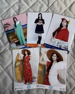 乃木坂46 井上和 生写真 まとめ売り