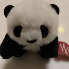 2025年最新】上野 シャンシャンの人気アイテム - メルカリ