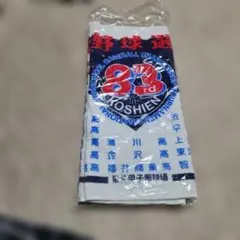 Item thumbnail for item 4fd6271a-582b-4351-92cc-bb93e594ceaf