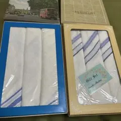 Item thumbnail for item e361fb41-6c19-4284-9334-78887595c88a