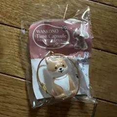 わんこのタイムカプセル　まめ　芝犬　ガチャ