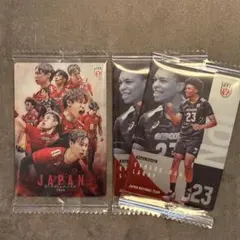 バレーボール　男子　ウエハース　カード　エバデダンラリー　集合　レア　ノーマル