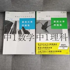 Item thumbnail for item a16424ad-06ad-4406-b316-39c162cb630e