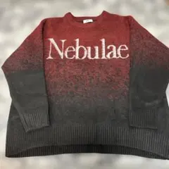 WEGO ファジーグラデーションプルオーバー ワイン