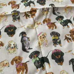 犬生地ダックスフンド生地