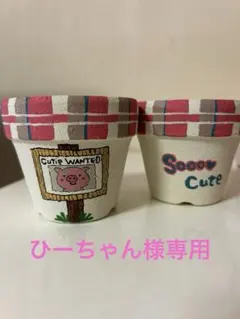 ひーちゃん様専用