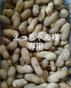 えっちゃん様専用　生落花生　自然栽培　1kg 加熱前