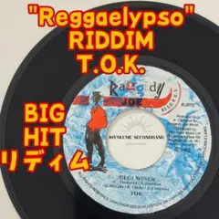 レゲェレコード-TOK-Gi Gi Winer-BIGチューン