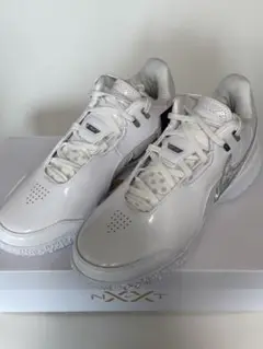 NIKE - レブロン NXXT Gen AMPD EP バスケット ナイキ(NIKE)(メンズ)バスケットシューズ バッシュ HP ズーム