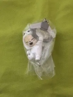 SKZOO つまんでつなげてますこっとvol.2 Foxl.Ny