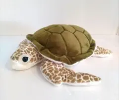 は*す様 ウミガメ　海亀　子ガメ　かめ　カメ　ぬいぐるみ　A-SHOW 栄商　エ は*す様 ウミガメ 海亀 子ガメ かめ カメ ぬいぐるみ A-SHOW 栄商 エ