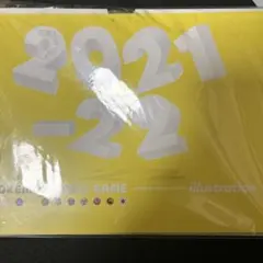 【未使用】ポケモンカード　イラスト　カレンダー　2021-2022