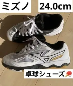 Item thumbnail for item bfd91986-719d-4a2d-ad19-5063f72a064d