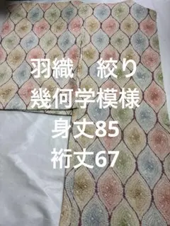 単衣 つむぎ 蔦蔓文様 ワイドサイズ 着物 裄66cm 身幅広め - メルカリ