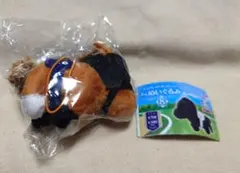 ウインカーネリアン　ぷちぬいぐるみ　ガチャ