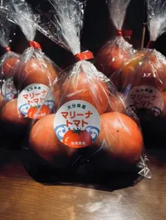 海水栽培　高糖度トマト　大分県産　5袋×400g
