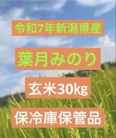 令和7年産 葉月みのり玄米30㎏ - メルカリ