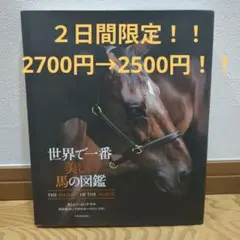 世界で一番美しい馬の図鑑