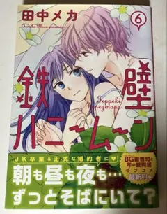 鉄壁ハニームーン 6巻