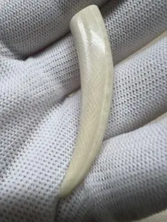 りーうち様专用文玩堂：マンモス牙製の牙先ペンダントトップ