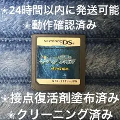 完動品 美品 ⋆✦ ポケモン不思議のダンジョン 時の探検隊 DS カセット