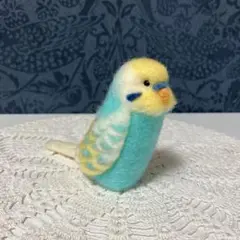 20☆セキセイインコ☆スパングルブルー☆実物大