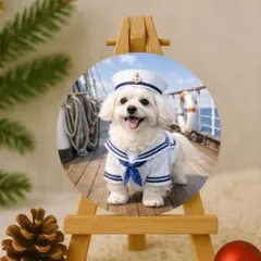 Item thumbnail for item 3c86c260-a34d-4213-bab3-f76a6ffe30bd