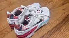 最終価格 レア 美品 ナイキ GTカット2 デザートベリー 楽天市場】ナイキ エア ズーム G.T. カット 2 NIKE Air Zoom