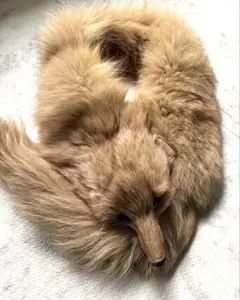 フォックスデザイン ファー マフラー