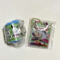 ポチャッコ　フレークシールキーホルダー　チェゴシム　コインシリンダー