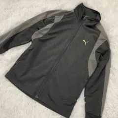 Item thumbnail for item 1c399a36-61fa-4ba0-ae79-b69d5f1190f6