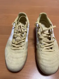 NIKE ストリートガト　フットサルシューズ 27.5cm