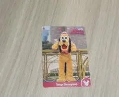 ディズニー　パルパルーザ　コレクションカード　ミニーのファンダーランド プルート