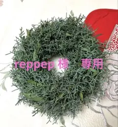 クリスマスリース ブルーアイス ユーカリシンプルリース ★☆8 、2