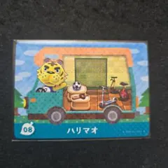 ハリマオ 08 とびだせどうぶつの森 amiibo+ あつまれどうぶつの森