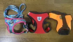 Item thumbnail for item 98d8e406-da1d-420e-accc-b1aa5acde560