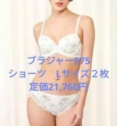 トリンプ0100 レッドレーベルブラジャー１枚＆ショーツ２枚　21,730円