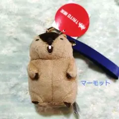 マーモットのもっとっと ぬいぐるみ ストラップ マーモット