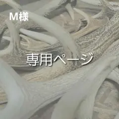 M様 オーダー専用 フェザーペンダント