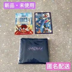 Item thumbnail for item 1c32e752-3b66-4545-bd78-d4526c8f4808