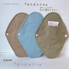 ふぃちゃんさま専用ページ