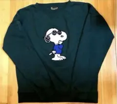 ピーナッツ　スヌーピー刺繍スウェット　ビッグロゴ　グリーン　M
