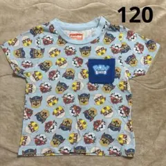 パウパトロール柄　水色　Tシャツ　120
