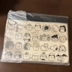 スヌーピーミュージアム　フラットポーチ