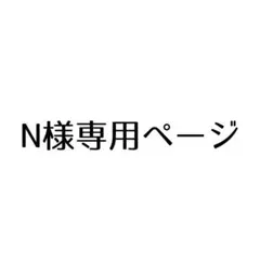 N 様専用ページ