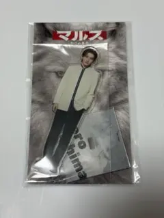 2026年最新】メンバー名：道枝駿佑 ジャニーズ アクリルスタンドの人気