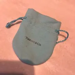 Tiffany & Co. 巾着袋 ポーチのサムネイル